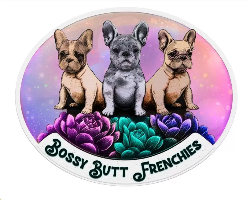 Bossy Butt Frenchies